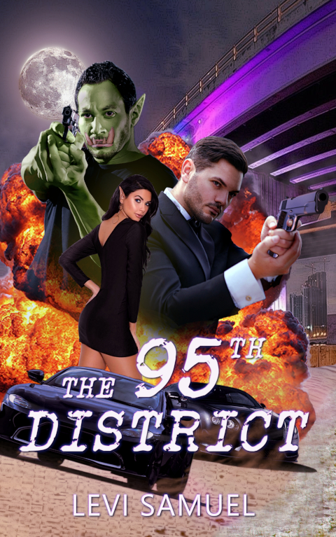 The 95th District